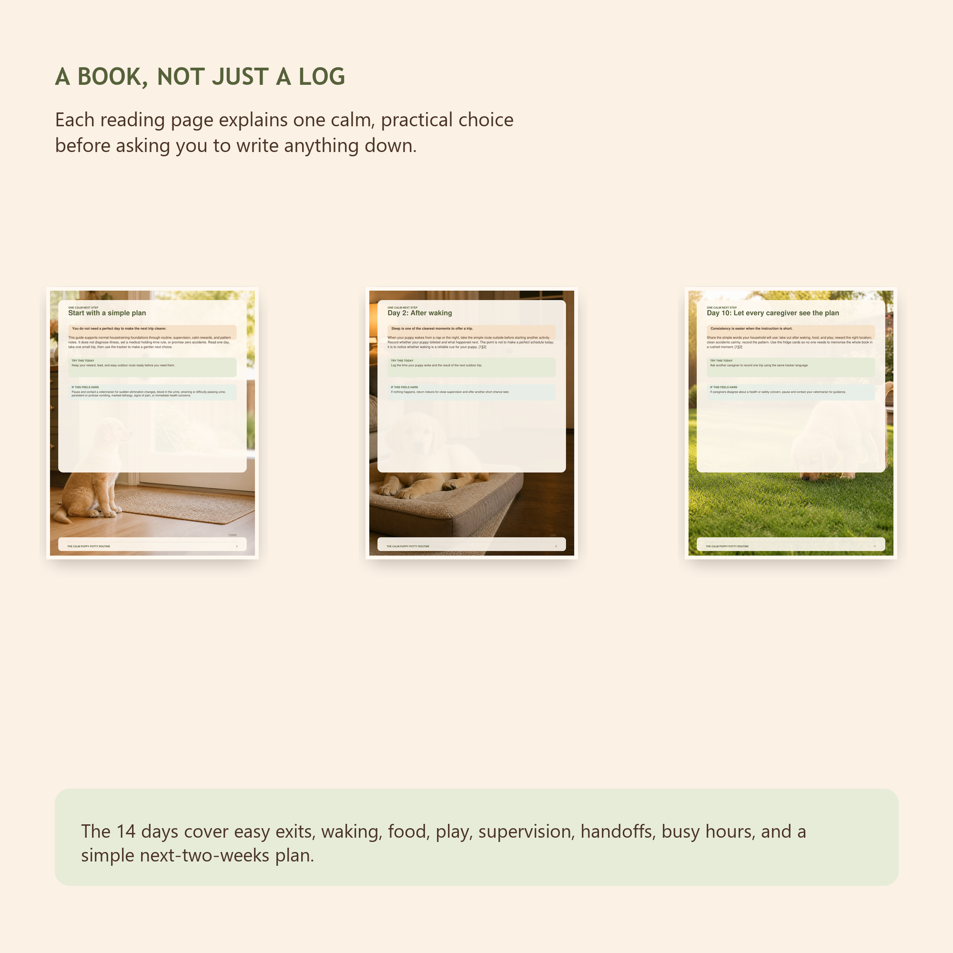 Preview of the Calm Puppy Potty Routine reading guide