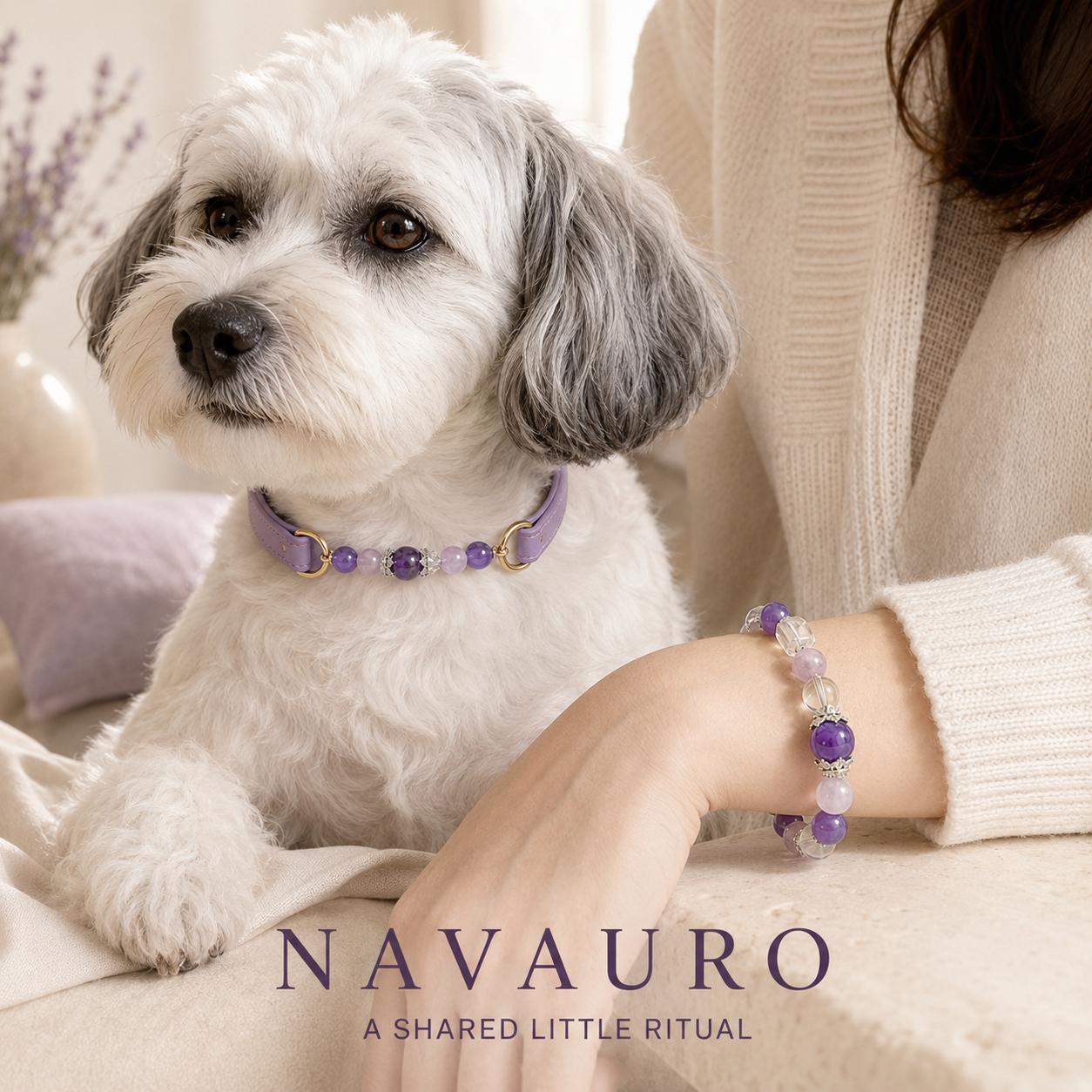 Matching Dog Collar & Owner Bracelet Set – Purple Ziding | Crystal Pet Jewelry — Etsy designed image 9