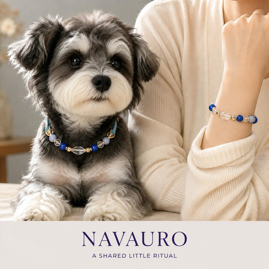 Matching Dog Collar & Owner Bracelet Set – Stone Light Together | Crystal Pet Jewelry — Etsy designed image 1