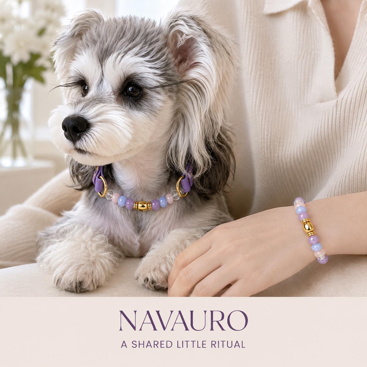Matching Dog Collar & Owner Bracelet Set – Purple East | Crystal Pet Jewelry — Etsy designed image 9