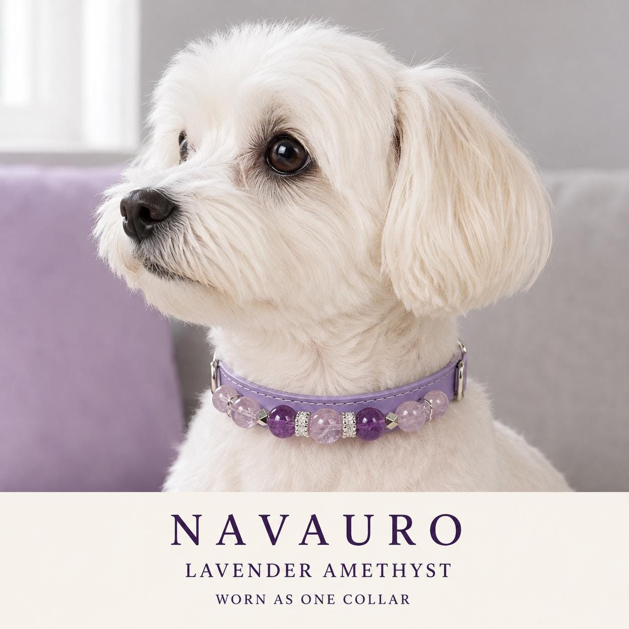 NAVAURO Amethyst Beaded Dog Collar, Lavender Adjustable Crystal Pet Collar — Etsy listing image 2