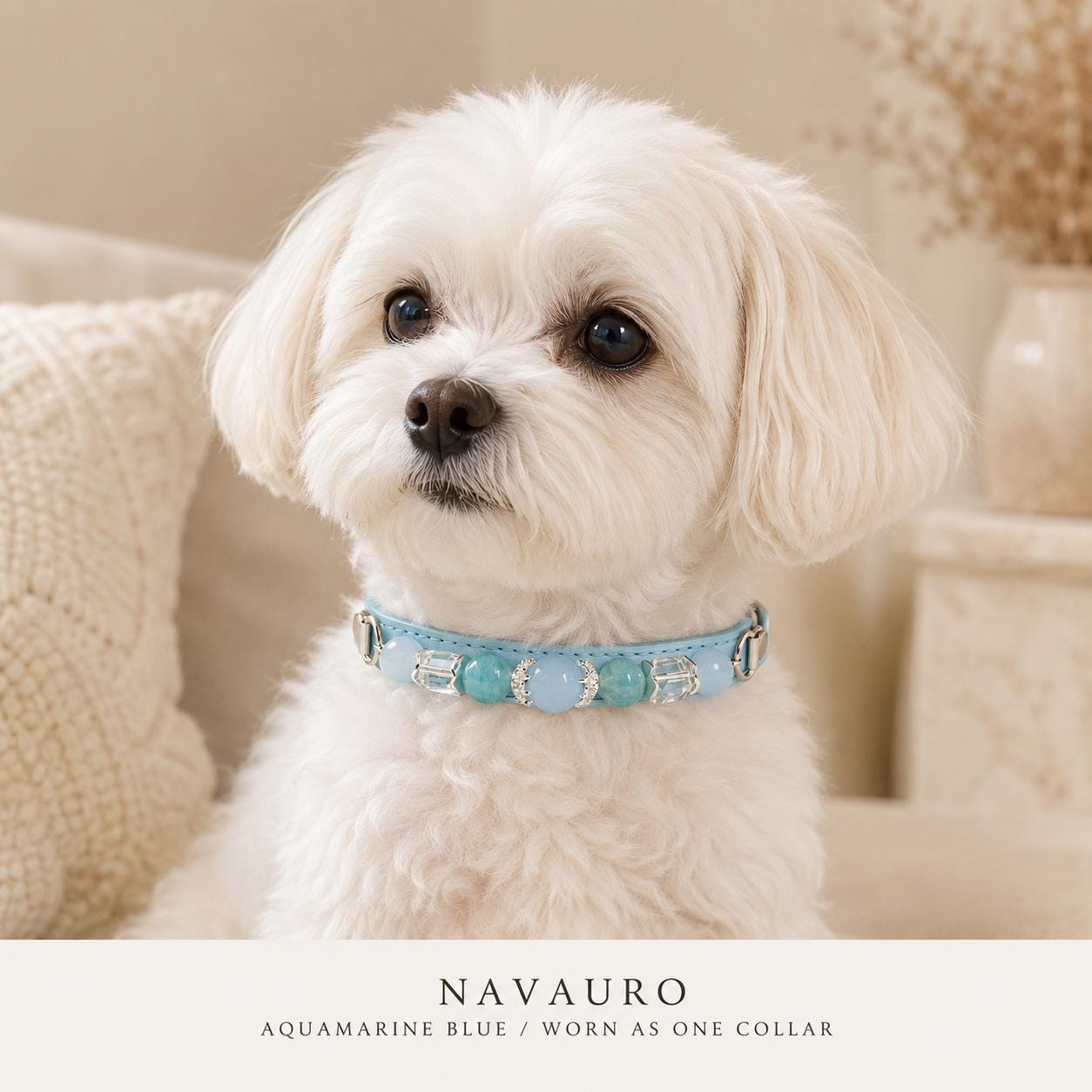 NAVAURO Aquamarine Beaded Dog Collar, Blue Adjustable Crystal Pet Collar — Etsy listing image 2