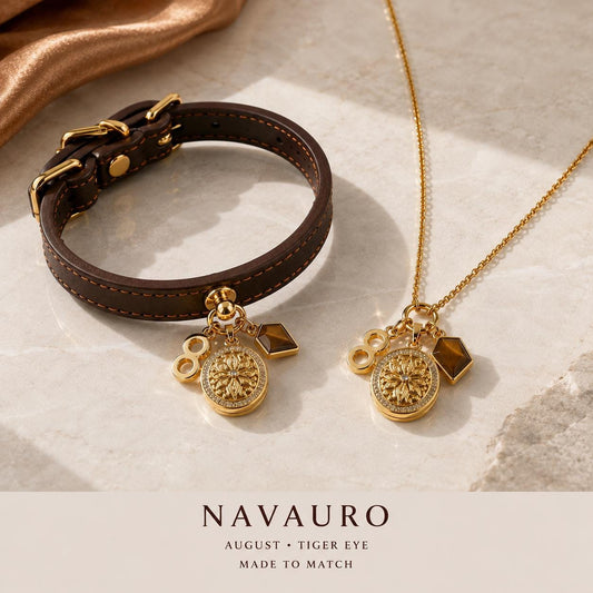 NAVAURO Matching Dog Collar & Owner Necklace Set | August Tiger Eye Photo Locket — Etsy listing hero image
