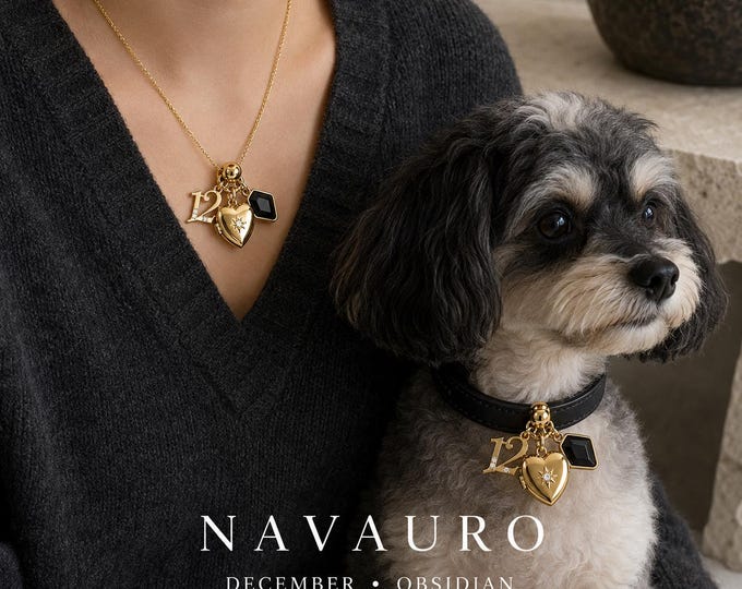 NAVAURO December Obsidian matching pet collar and owner necklace set, shown with a small dog
