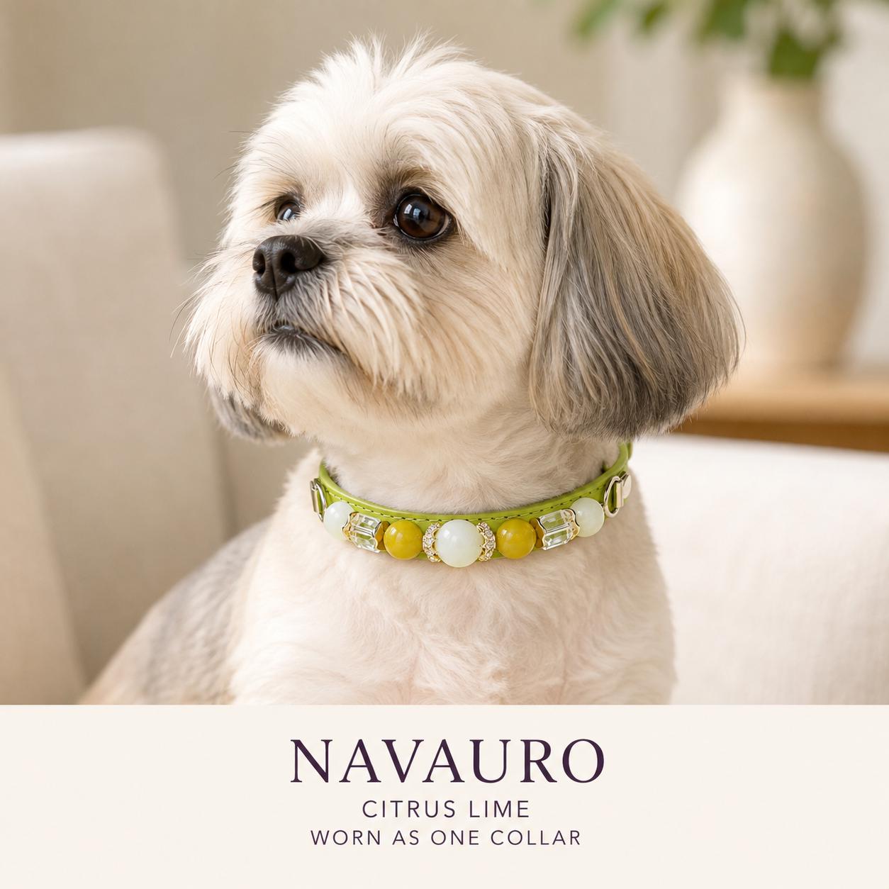 NAVAURO Jade Beaded Dog Collar, Lime Adjustable Crystal Pet Collar — Etsy listing image 2