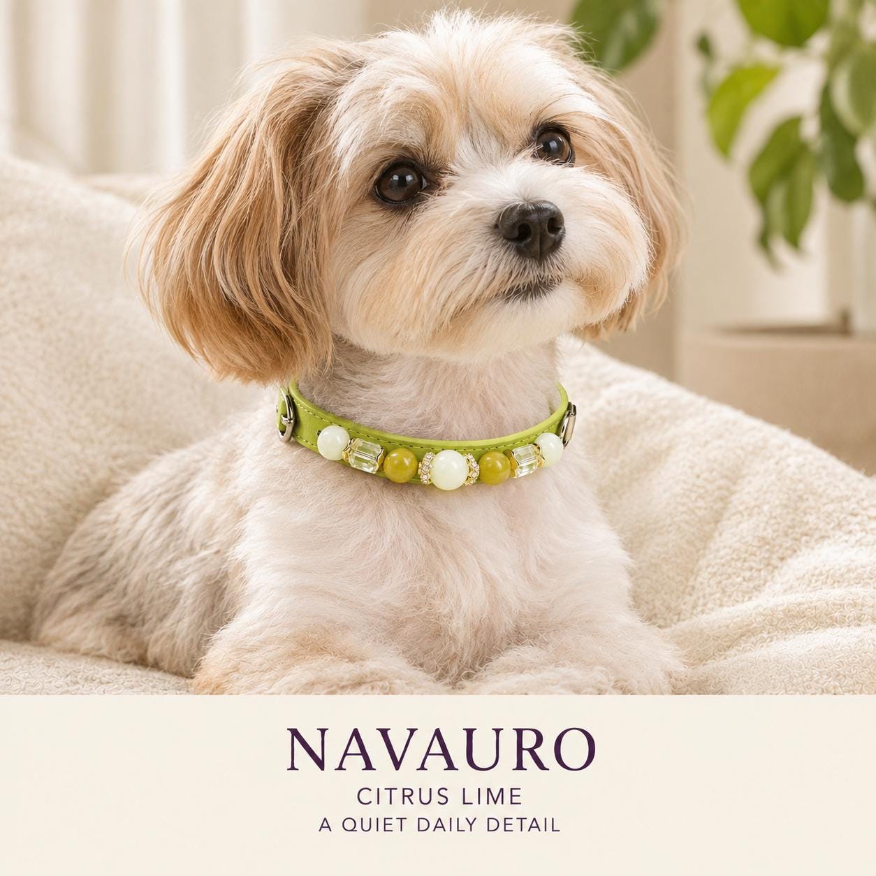 NAVAURO Jade Beaded Dog Collar, Lime Adjustable Crystal Pet Collar — Etsy listing image 9