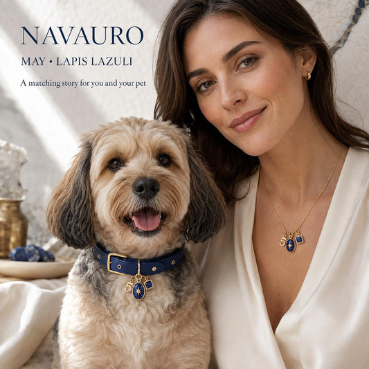 NAVAURO Matching Dog Collar & Owner Necklace Set | Lapis Lazuli Charm — Etsy listing hero image