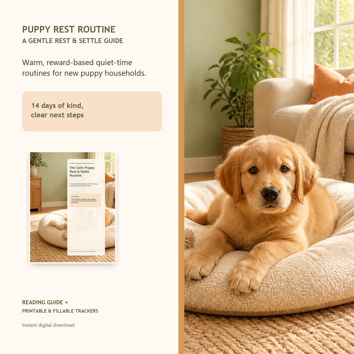 NAVAURO Puppy Rest Routine Guide, 14 Day Calm Settle Plan, Printable Fillable PDF — Etsy listing cover